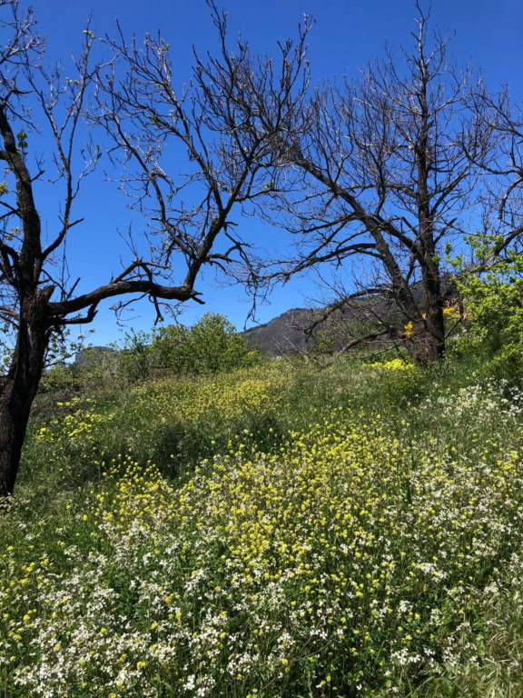Tejeda Parque Rural el Nublo