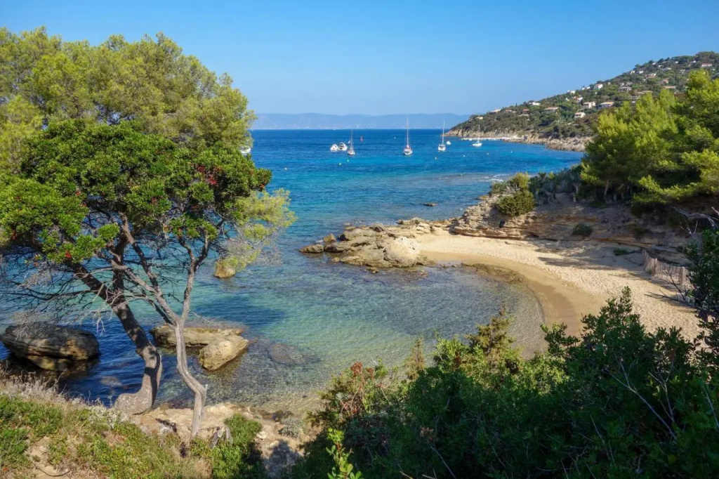 Absolument Levant