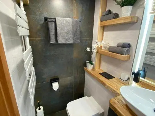Luxury Apartments Ostrava