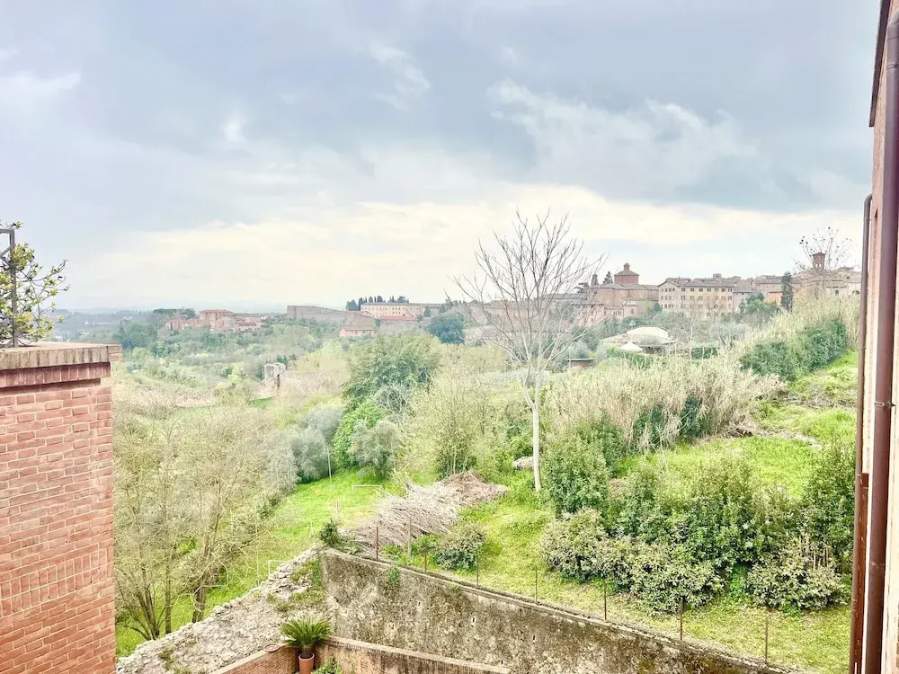 Provenzano Studios