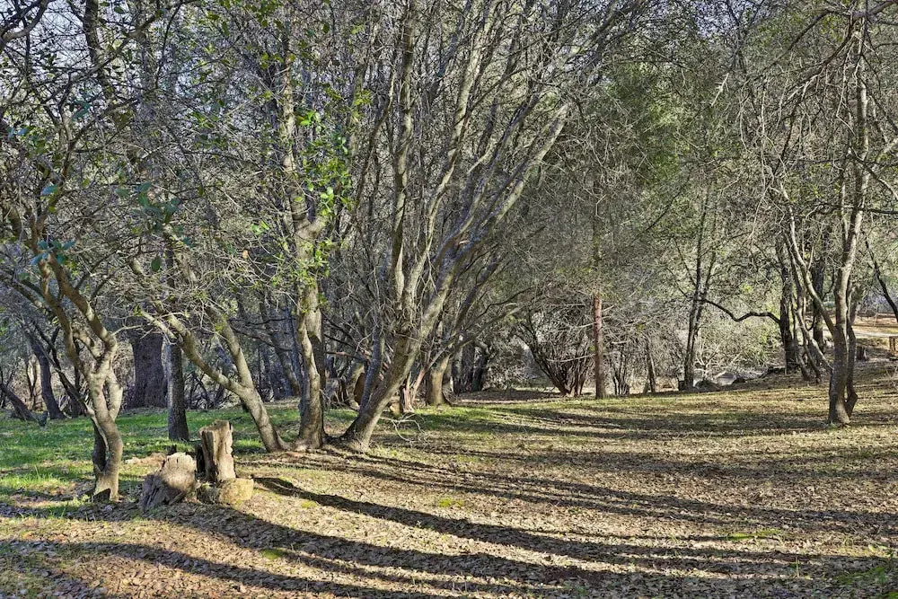 Pine Mountain Lake Cabin w/ Grill
