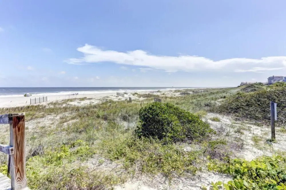 1812-turtle Dunes
