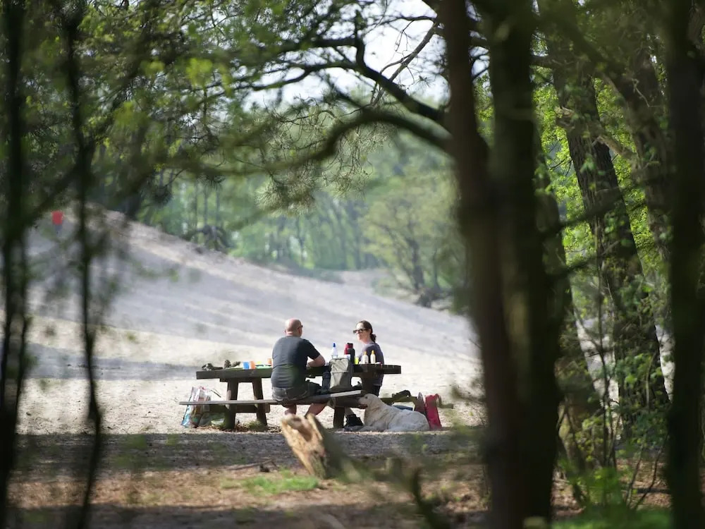 Tent Lodge With Sanitary Facilities at the Bedafse Bergen - Campsite