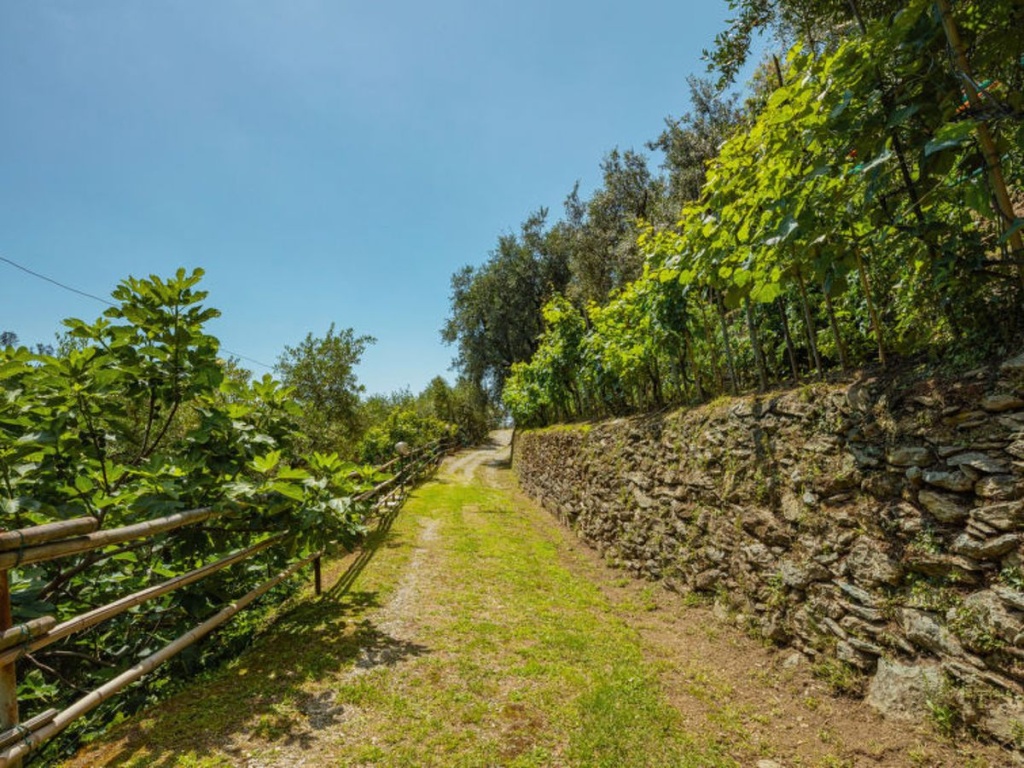 La Sperduta (CTO400)