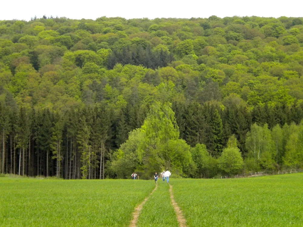 Auberge du Sabotier