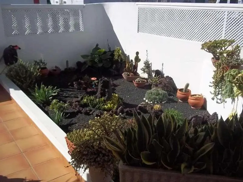 Apartment in Arrieta, Lanzarote - 101648