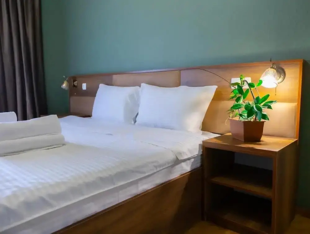 Hotel Horizont Telavi