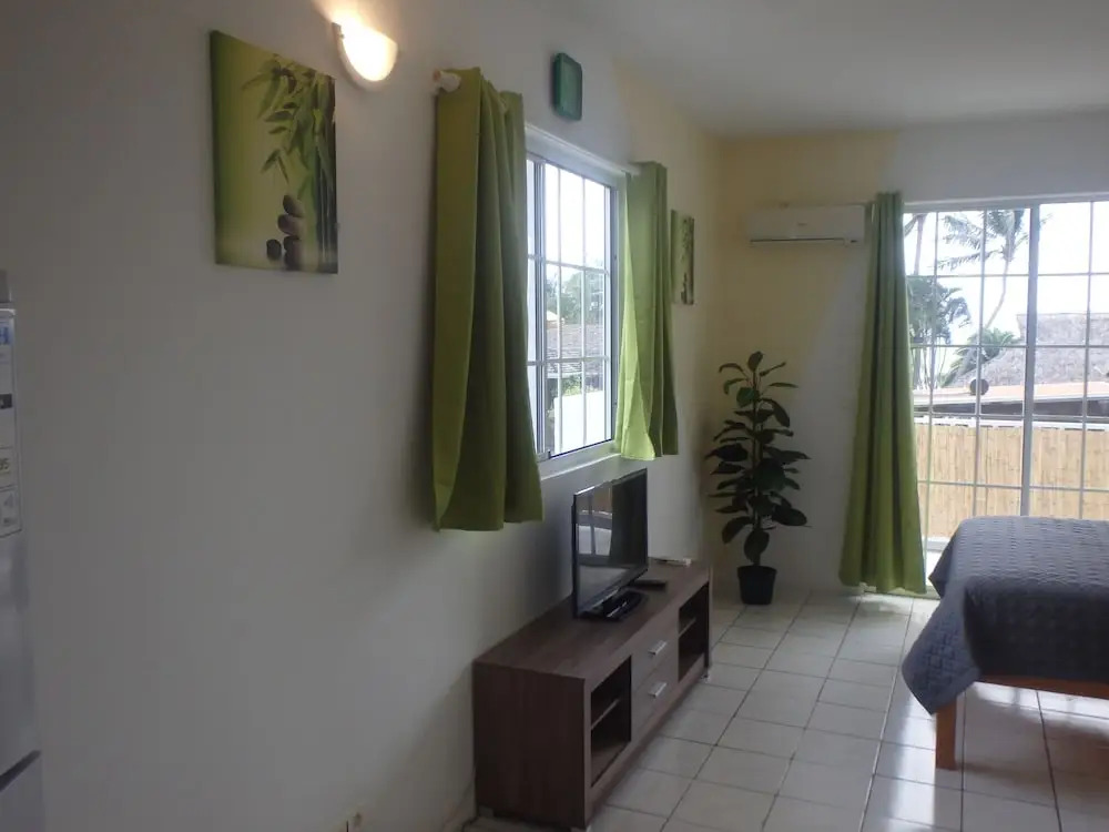 Apartment Studio Halfon