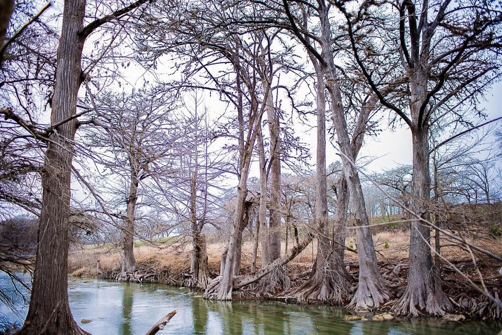 Wild Arrow Ranch