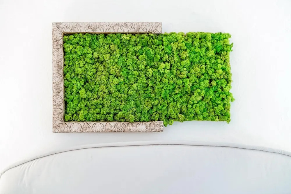 The Green Nest by Lake Como