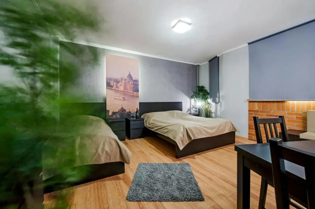 FREE PARKING, AC, WIFI apartment in the center