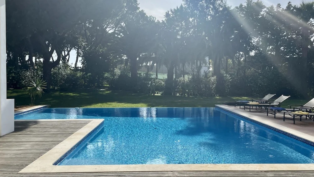 Azaleas CIP