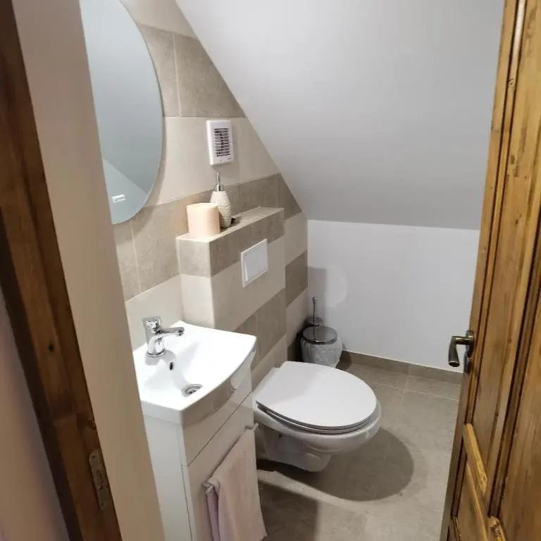 Rustic House Busteni