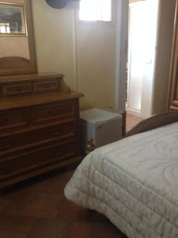 B&B Chorisia