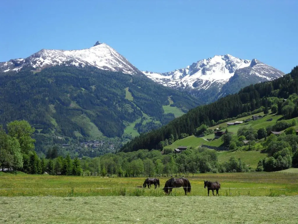 ZITTRAUERHOF - Urlaub am Bauernhof Gastein