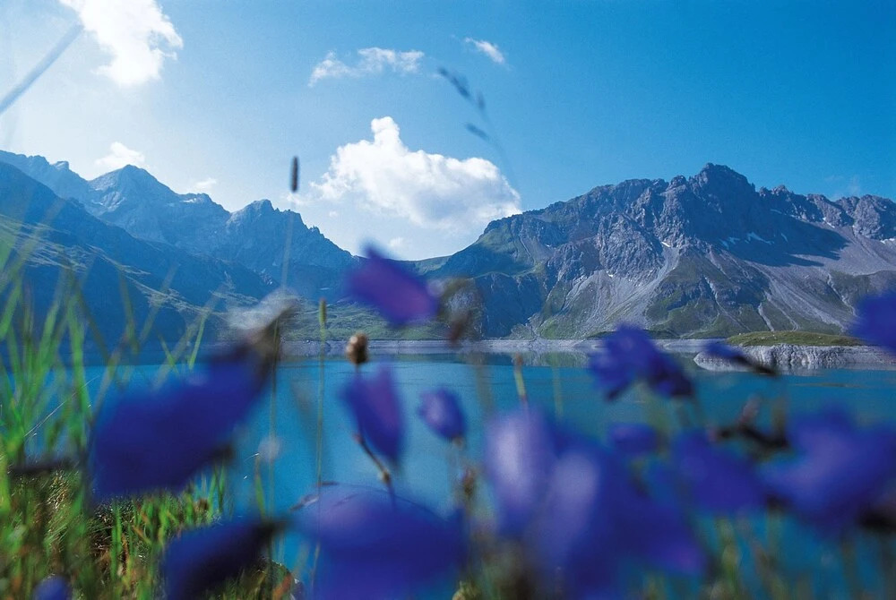 Appartement Alpenrose
