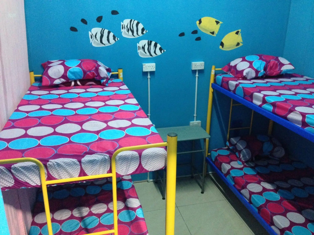 Bubble Backpackers