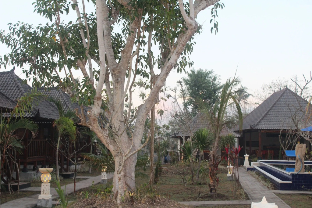 The Cozy Villas Lembongan