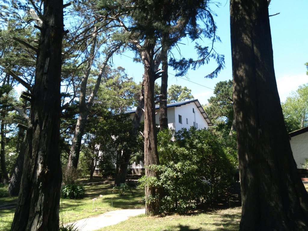 hotel playa