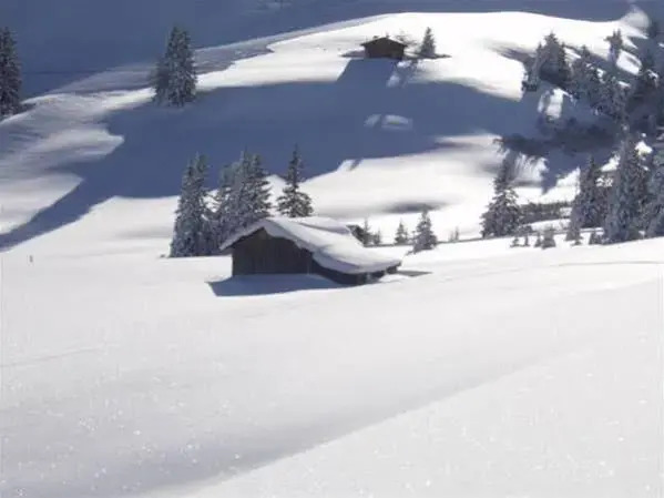 Hotel Des Alpes