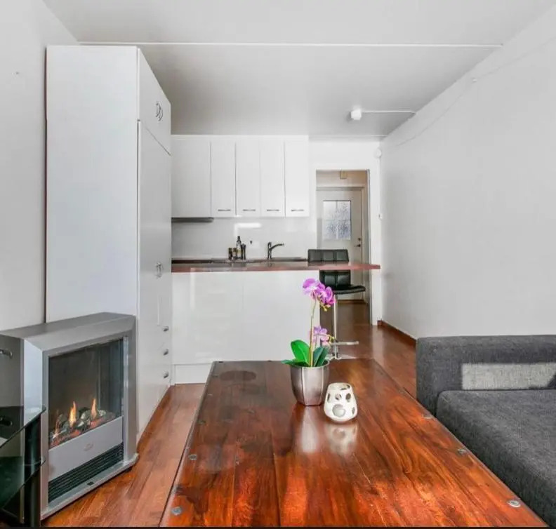 Privat studio leilighet, Oppdal Stølen-skisenter