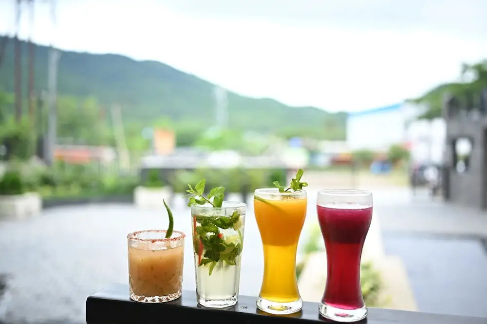 Sachika Hotels Guwahati- Pure Veg