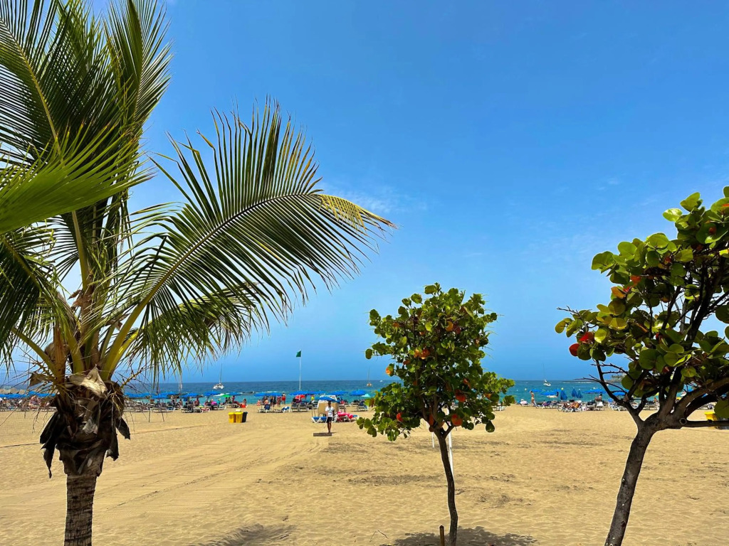 Playa Lux Los Cristianos
