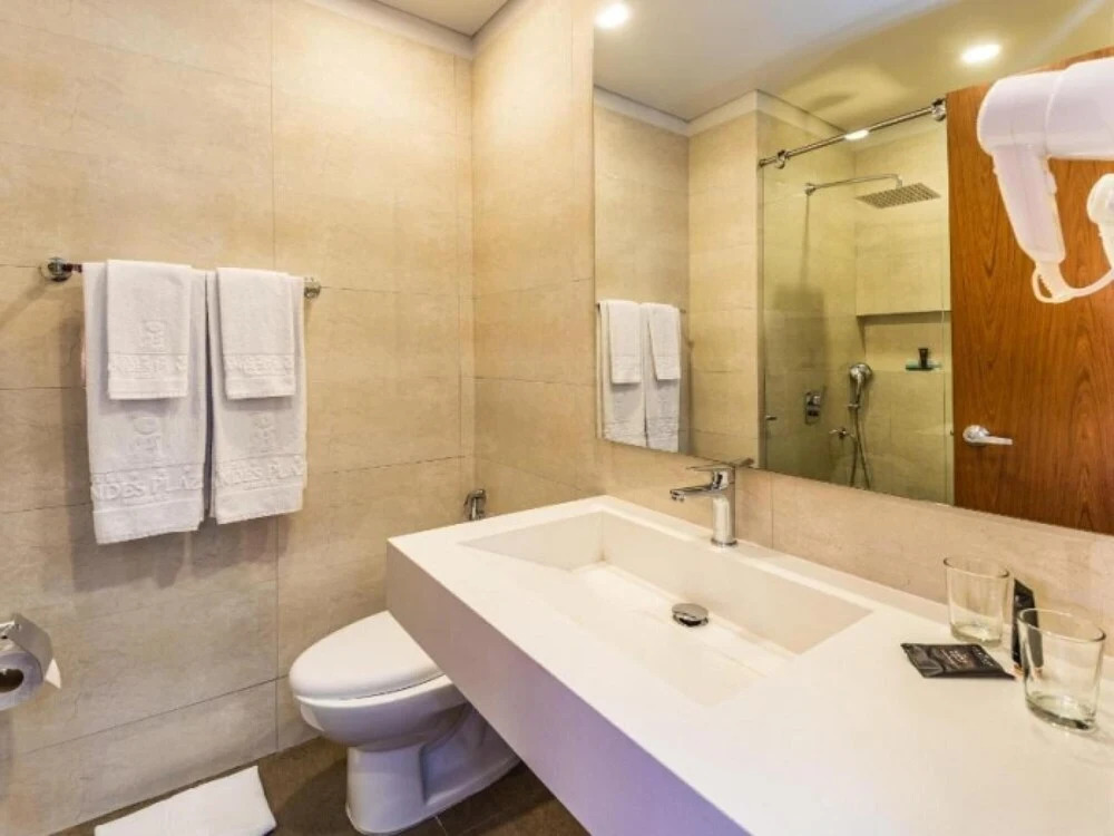 EM Hotels Andes Plaza