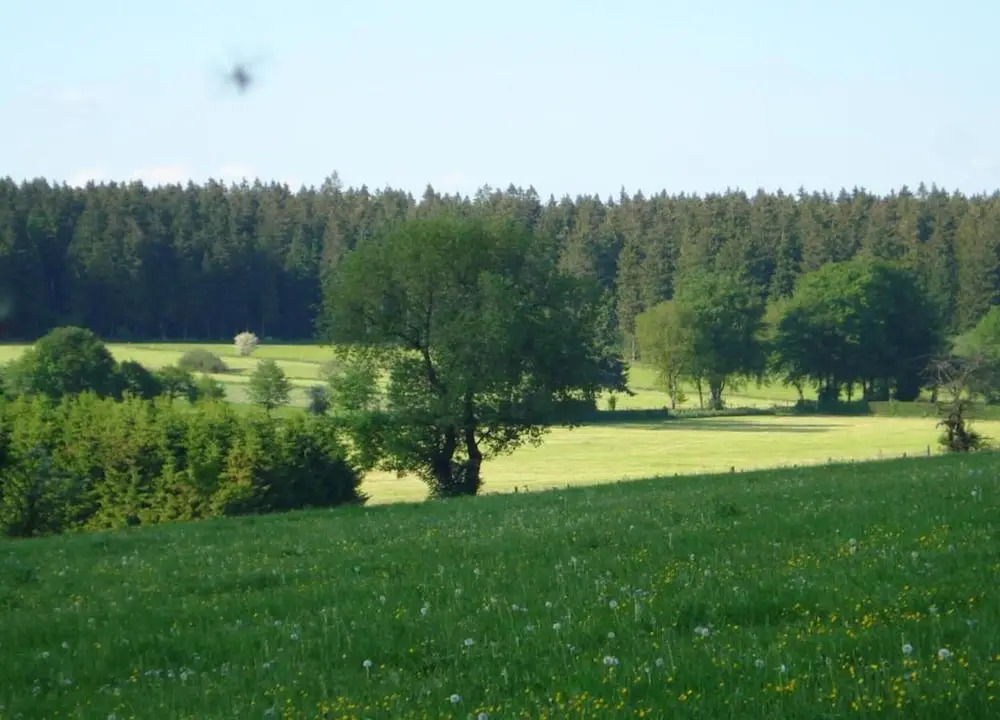 Apartment in Ondenval near Malmedy