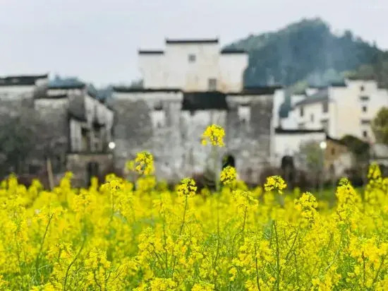 Wuyuan waiting for your homestay
