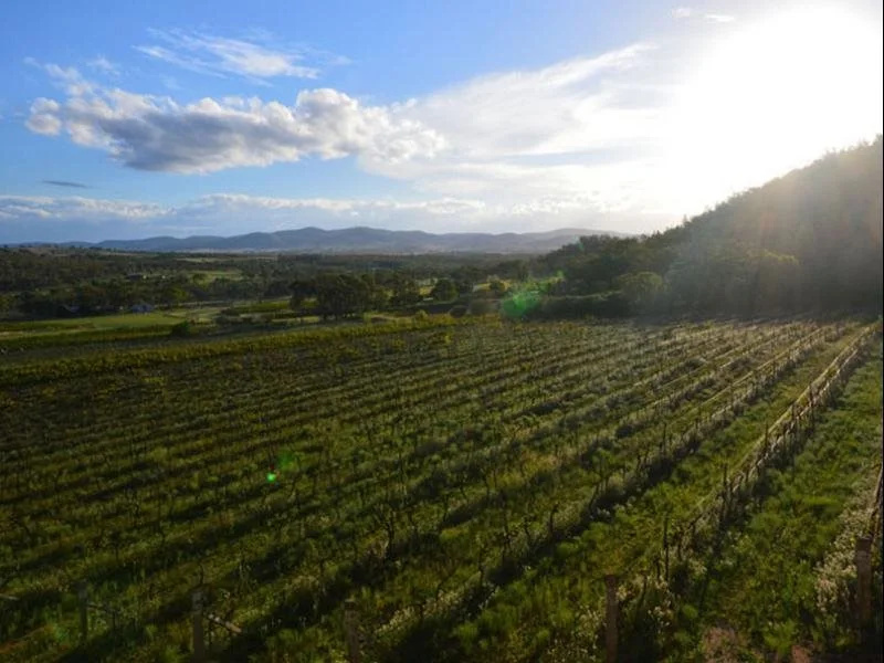 Sancerre Estate