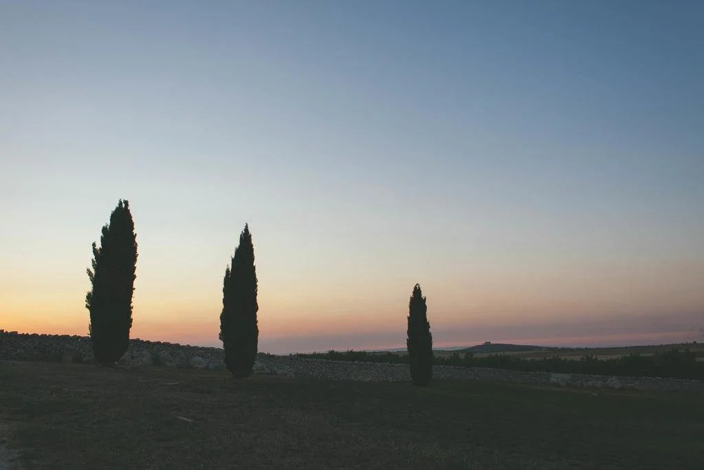 Masseria Torre Di Nebbia