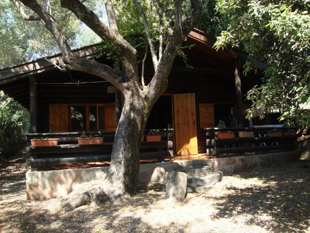 Serena Holiday Home