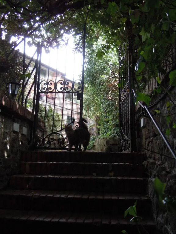 Villino Corbelli B&B