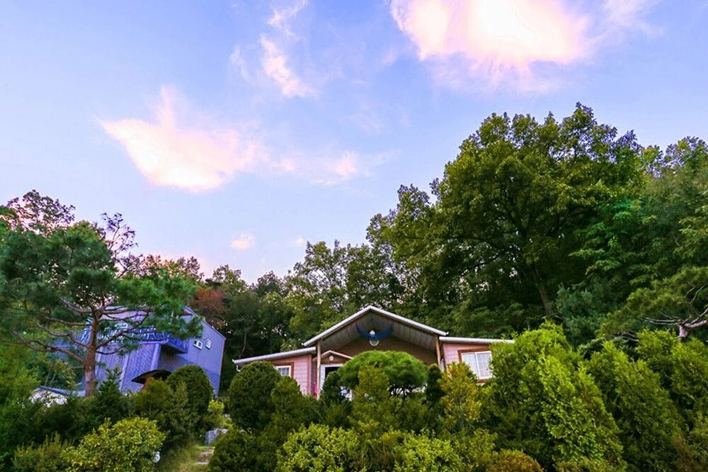 Chungju Hosuwiui Haru Pension