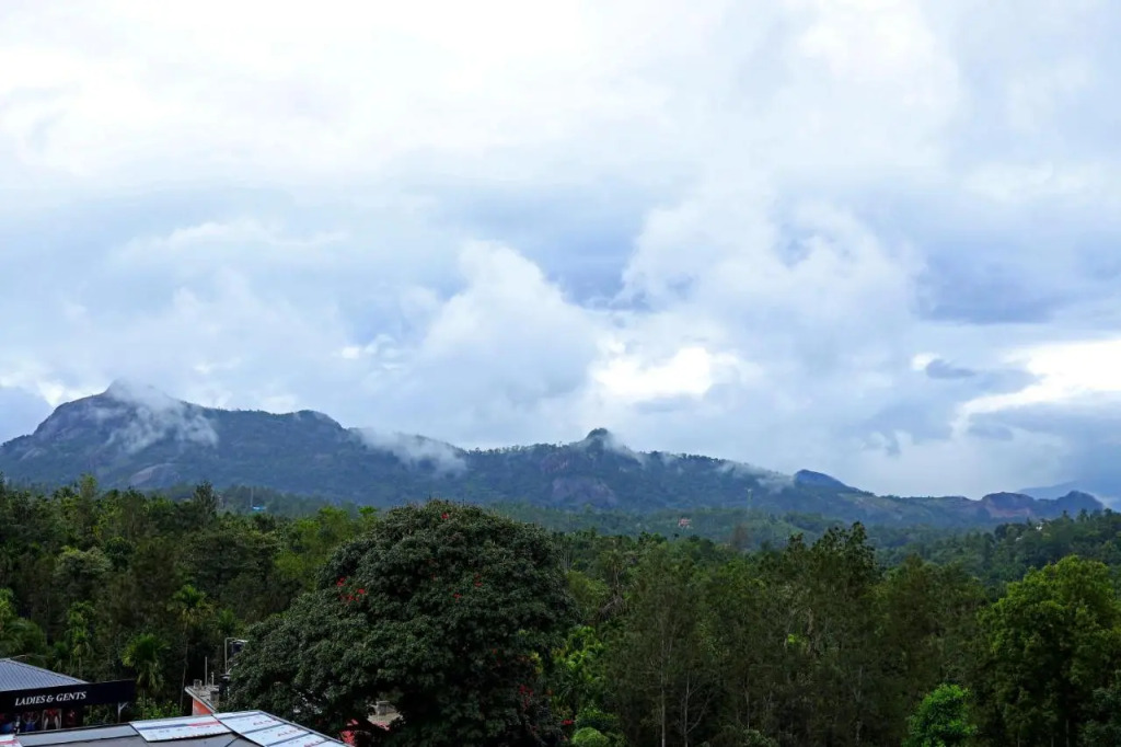 Hotel Wilton Wayanad