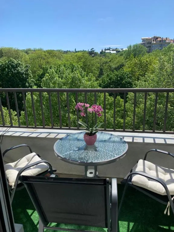 Sunkissed apartment