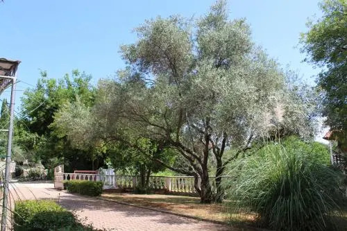 Apartments Seka