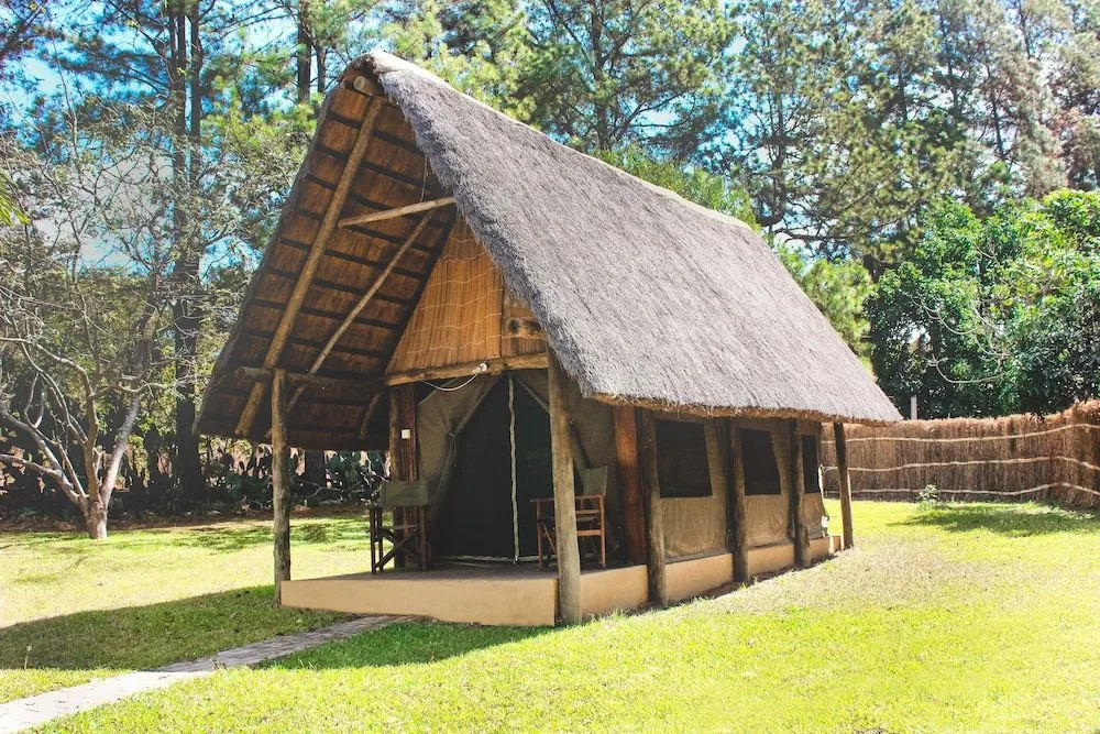 Pioneer Lodge Camp and Safaris
