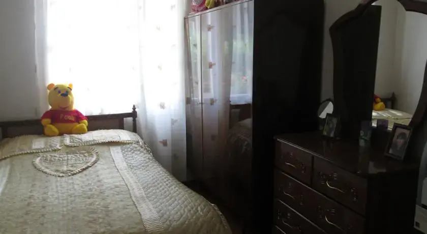 Guesthouse on Sayat Nova 85