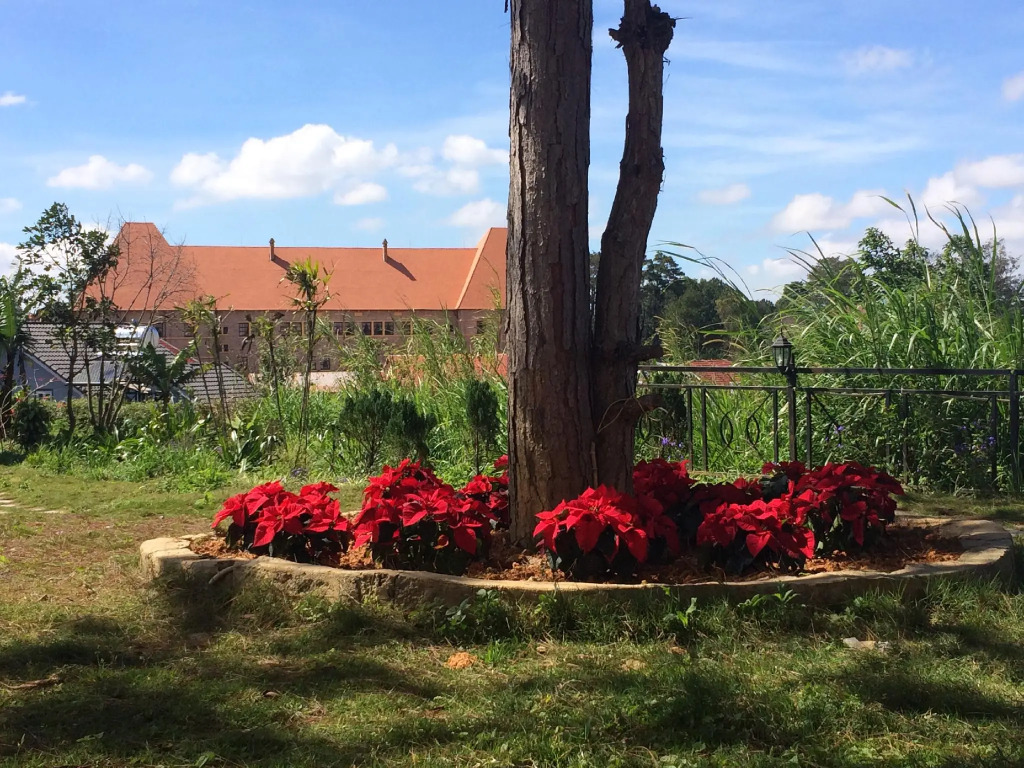 Dalat Train Villa