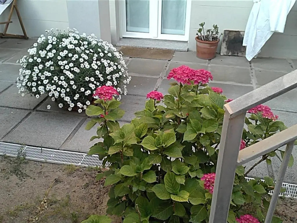 Case Vacanza Villa Doria