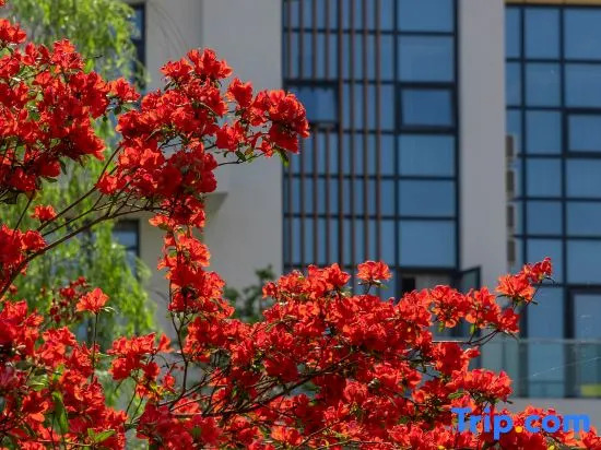 Wunvzhou Guyuanli Hotel
