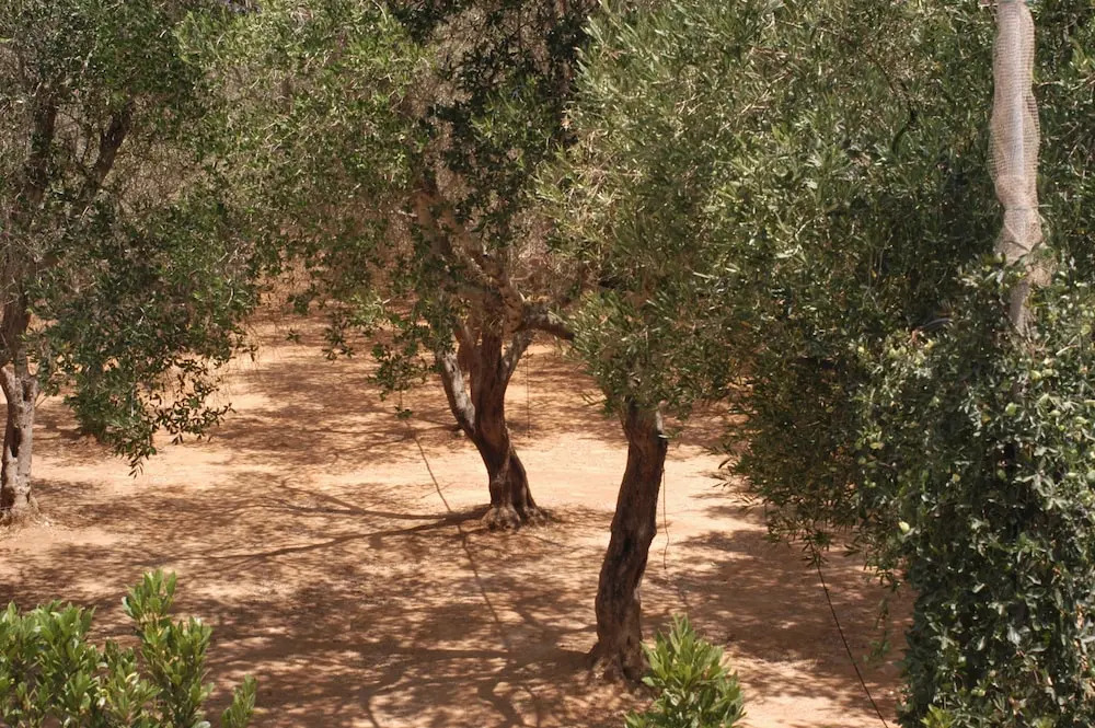 A Casa di Amici