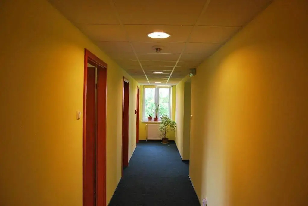 Bluszcz