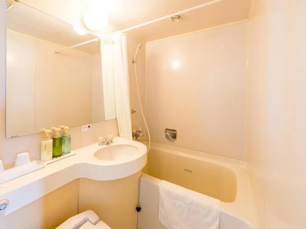 Sabae Daiichi Hotel