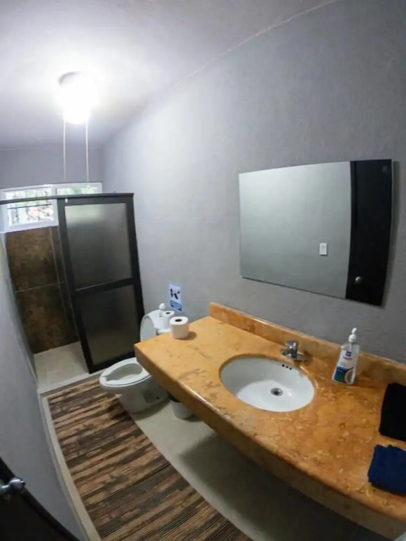 Royal Honey Hostel