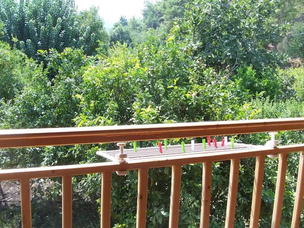 Naz Apartlari Cirali