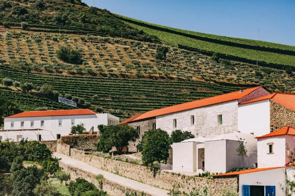 Ventozelo Hotel & Quinta