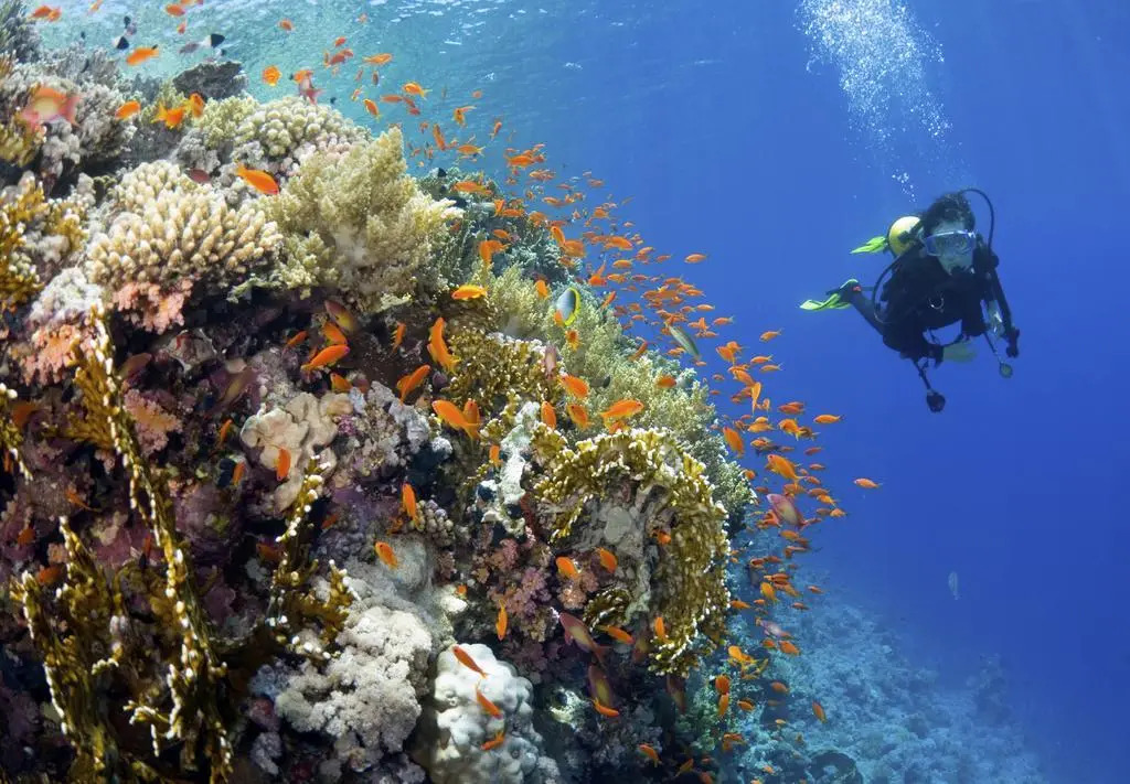 Yasawa Island Resort & Spa